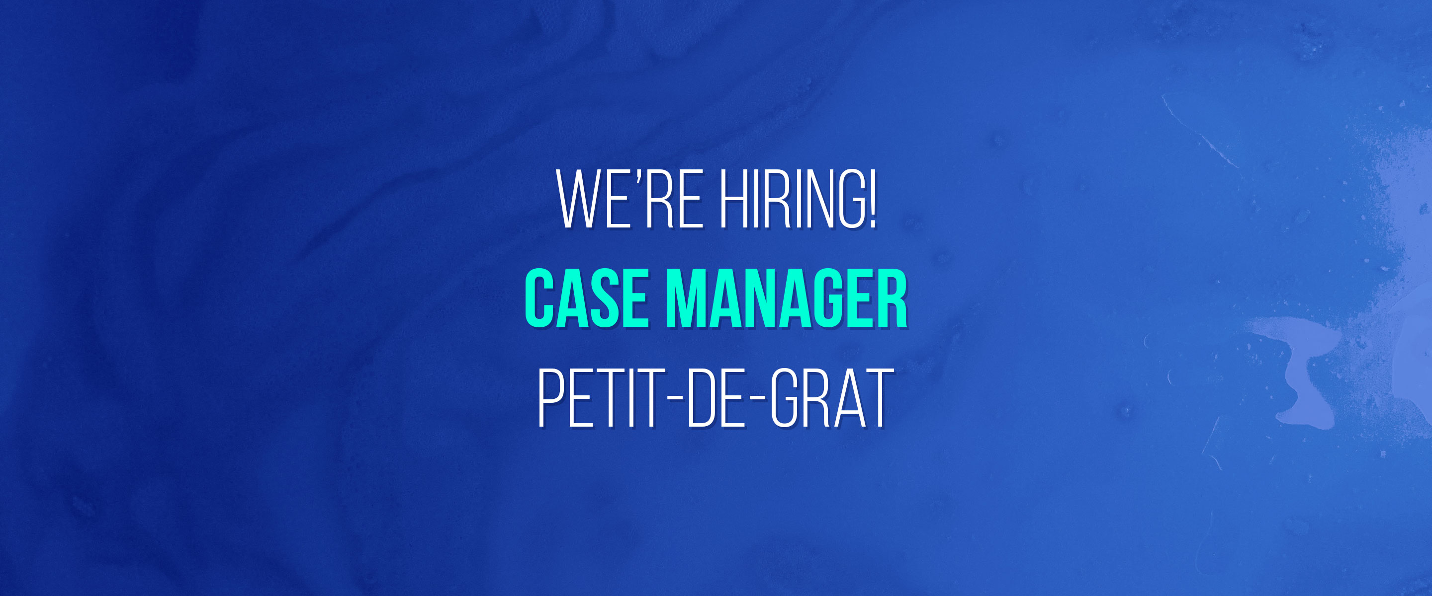case manager